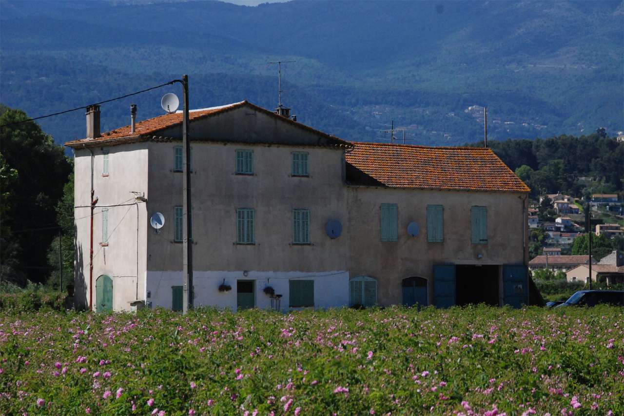 Restauration château Avant